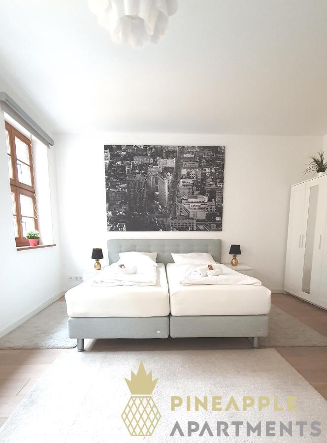 Pineapple Apartments Luxus Apartment Im Palais Am Neumarkt ドレスデン エクステリア 写真